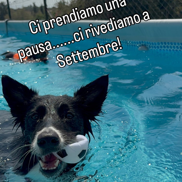 Post Instagram di BauSplash