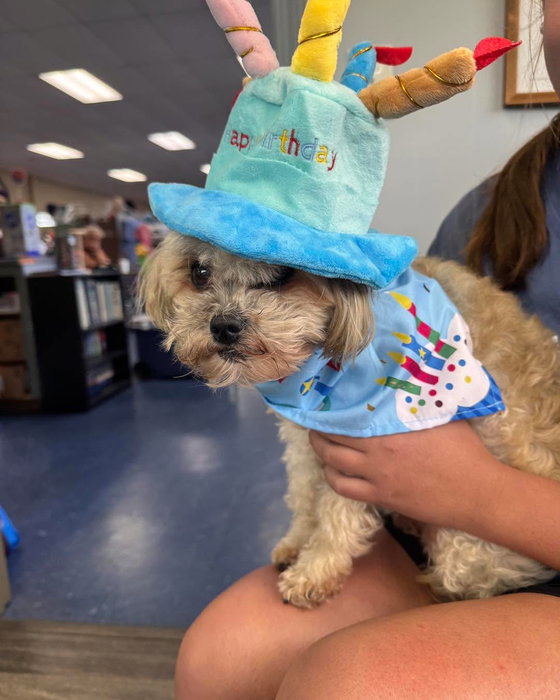 Happy 9th Birthday to Nash! Nash is a marina favorite. He loves to greet everyone with his laid back style. He loves a treat and enjoys visiting his neighbors.