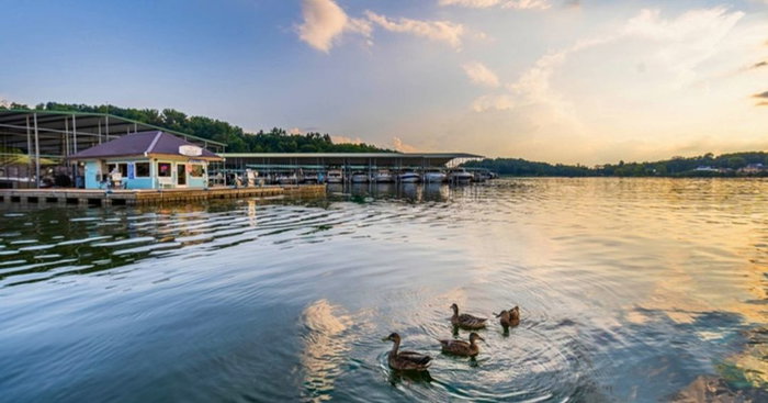 A few familiar faces enjoying the view at Concord Marina. 🦆

Even as boating season winds down, there’s still plenty to love about peaceful days by the water.