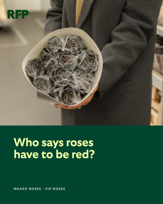 Visiting VIP Roses We paid a visit to VIP Roses, the family business of brothers Marc and Ed&hellip;