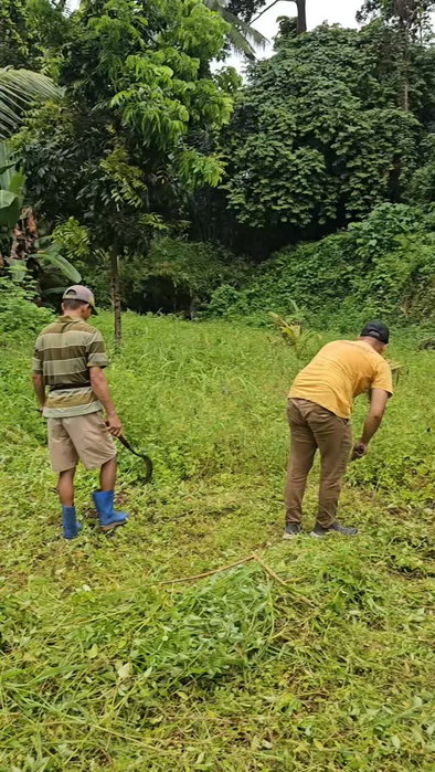 Dinamika boleh ada, tapi semangat ngayah tetap utama! 💪✨

Kilas balik 1 minggu persiapan DPP Peradah Sulut menyambut Piodalan ke-33 Pura Jagadhita. Meski diwarnai berbagai intrik internal, ketulusan dan kesolidan setiap kader terbukti mampu meruntuhkan ego. Alhasil, kolaborasi kompak dengan panitia sukses membawa piodalan berjalan lancar dan khidmat. 🙏

Matur suksma atas dedikasi tulus dari setiap individu. Tetap solid, kader Peradah! 🪷

#PeradahSulut #Piodalan33 #PuraJagadhita #NgayahIkhlas #KaderSolid JayalahPeradah
