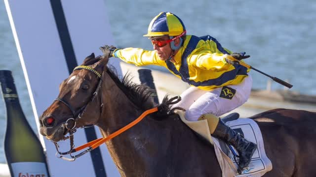 El vuelo de Diego Sarabia con Flight Leader (Frankel)