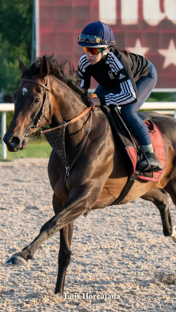 La 4ª etapa de la Copa Volvo que se disputa el jueves en @HipodromoMadrid tendrá otra protagonista muy especial: Candela Hervella Vaquero @hvaquero.candela , que se estrenará como amazona.