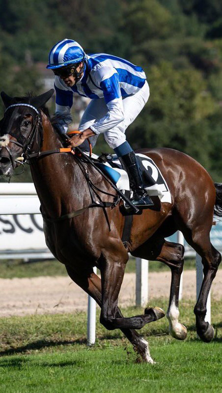 Victoria del gentleman Gonzalo Pineda (@gonzapineda94) en el Memorial Nagore Otaño , última carrera de la temporada de verano en @hipodromosansebastian reservada a amazonas y gentlemen. Ganó con Velerin (Le Havre) propiedad de la Cuadra Mediterráneo con la preparación de @arizkorretaracing .