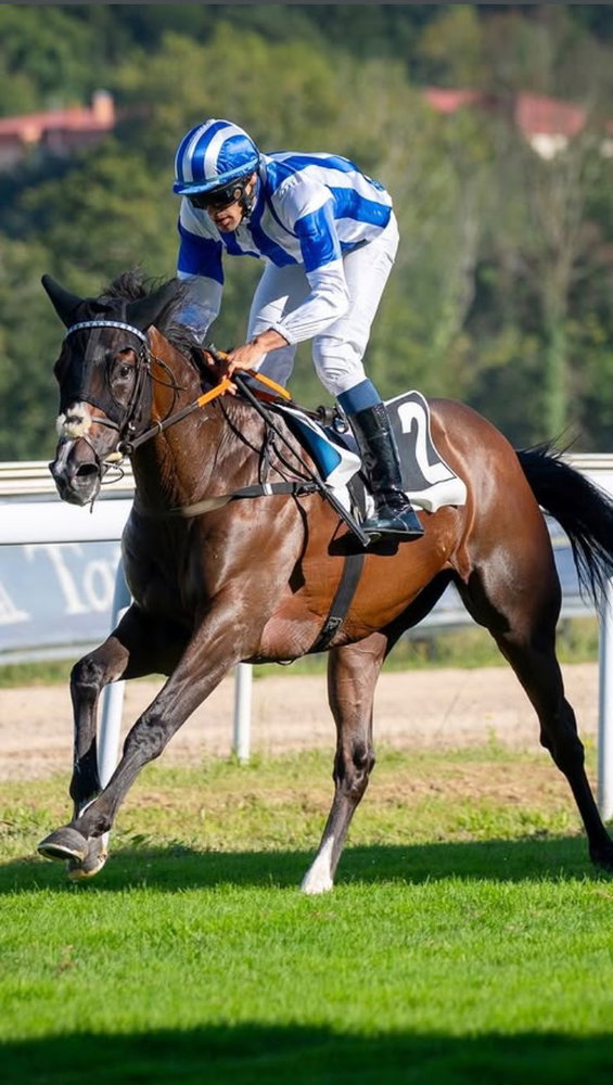 Victoria del gentleman Gonzalo Pineda (@gonzapineda94) en el Memorial Nagore Otaño , última carrera de la temporada de verano en @hipodromosansebastian reservada a amazonas y gentlemen. Ganó con Velerin (Le Havre) propiedad de la Cuadra Mediterráneo con la preparación de @arizkorretaracing .