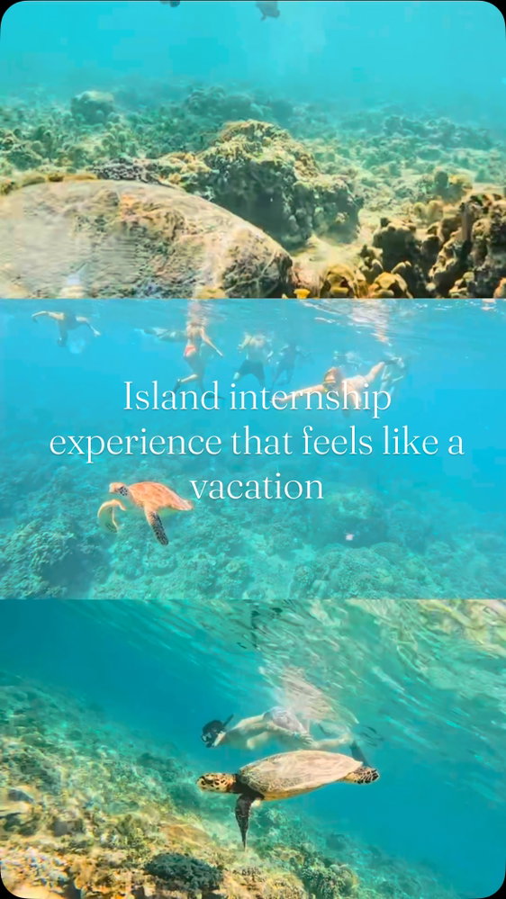 If you don’t want an internship experience that feels like summer don’t click the link in bio