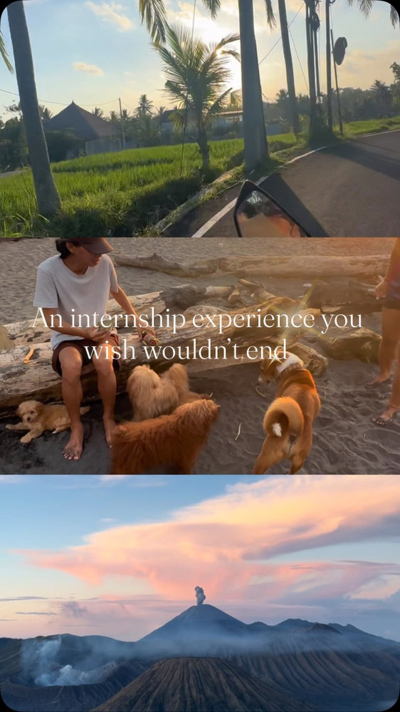 We find you an internship and create an experience you wish wouldn’t end