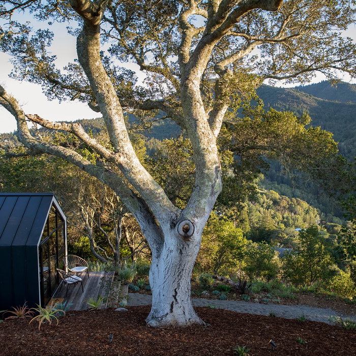 Proof that a workspace can actually feel like a sanctuary.

Elite productivity requires elite design. We don't just build backyard structures; we craft architectural spaces that elevate your daily routine. Clean lines, sustainable materials, and massive windows create the ultimate modern workspace. 

#PrefabStudio #LuxuryHomeOffice #FutureOfWork #SustainableDesign #ModernBunkie #WFHGoals