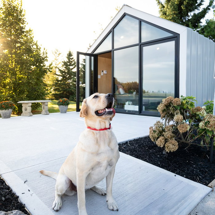 We interrupt this very important Wednesday afternoon scroll in honour of National Dog Day! 🐕‍🦺 These Bunkie pup pics are absolutely adorable. Enjoy! 

If you're a client with a pooch, share them with us in the comments or tag us in your stories! 📷 

#NationalDogDay #DogLife #OfficeDogs #BunkieLife #CottageLife #Glamping