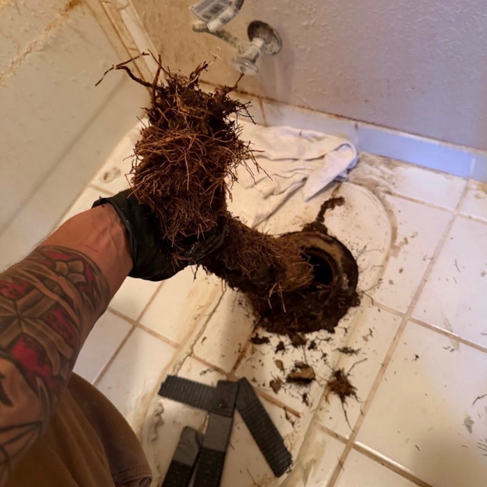 π½ Now THATβS a root problem! π³ Customer called Signature Plumbing with a toilet backing
