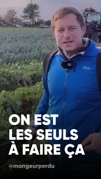 L’être humain est sans doute la seule espèce capable d’asperger sa nourriture d…
