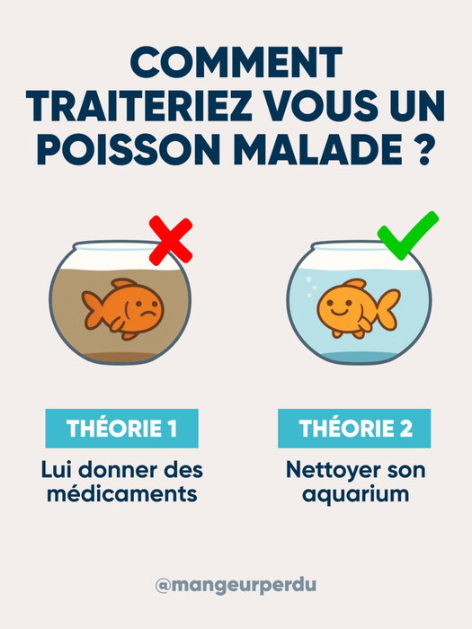 Pour soigner un poisson malade, on commence par nettoyer son aquarium. Ça paraî…