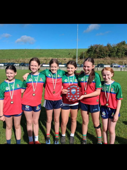 A huge congratulations to the Shamrocks U12 camogie team on their fantastic league final win against Brosna Gaels today! ππ A very special well done to Scoil Charthaigh Naofa students Isabel, Eva, Eliana, Cara, Emily and Kate π We are so proud of you all πShamrocks AbΓΊ β€οΈππ