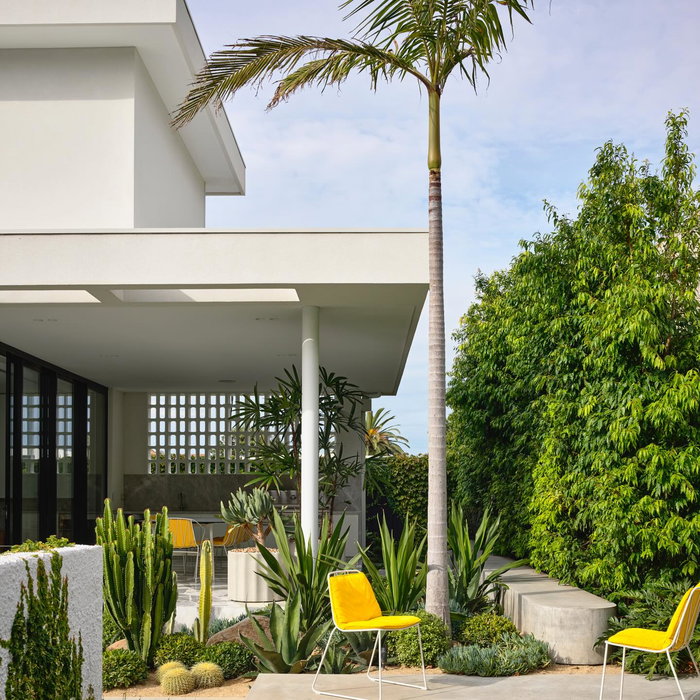 Brighton project. built by @concept_build architecture by @syncarchitecture landscape architecture by @plume__studio