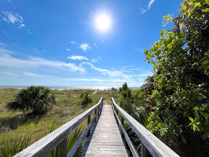 Crisp air, quiet shores, and endless charm — Hilton Head fall is here. 🌊🍃🌴🧡

Plan a getaway this season to Palmetto Dunes Oceanfront Resort on Hilton Head Island. Visit the link in our bio to explore vacation rentals and three miles of pristine South Carolina beachfront.