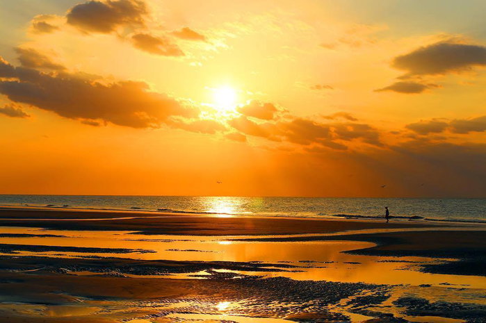 Good morning! Happy from Palmetto Dunes. ☀️🌅

Learn more about our three miles of beachfront here in Palmetto Dunes by visiting the link in our bio. 😊🏖️