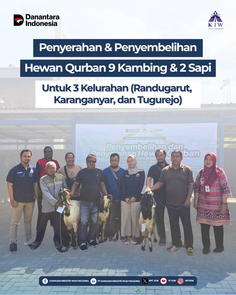 Dalam rangka menyambut Hari Raya Idul Adha 1447 H, PT Kawasan Industri Wijayakusuma (KIW) melalui Tim Tanggung Jawab Sosial dan Lingkungan (TJSL) melaksanakan kegiatan penyaluran bantuan hewan qurban kepada masyarakat di sekitar kawasan industri.

Pada kegiatan tersebut, PT KIW menyerahkan sebanyak 9 ekor kambing kepada 3 kelurahan di Kota Semarang, yaitu Kelurahan Randugarut, Kelurahan Karanganyar, dan Kelurahan Tugurejo, dengan masing-masing kelurahan menerima 3 ekor kambing.

Selain itu, PT KIW juga menyiapkan 2 ekor sapi yang akan disembelih di lingkungan kantor PT KIW sebagai bagian dari kegiatan pembagian hewan qurban kepada masyarakat.

Kegiatan ini merupakan wujud komitmen PT KIW dalam menjalankan tanggung jawab sosial perusahaan serta mempererat hubungan harmonis dengan masyarakat di sekitar kawasan industri.

Melalui momentum Idul Adha 1447 H, PT KIW berharap nilai-nilai kepedulian, kebersamaan, dan semangat berbagi dapat terus terjalin demi mendukung terciptanya kesejahteraan sosial yang berkelanjutan.

#PTKIW #IdulAdha1447H #TJSLKIW #KIWPeduli #BUMNUntukIndonesia