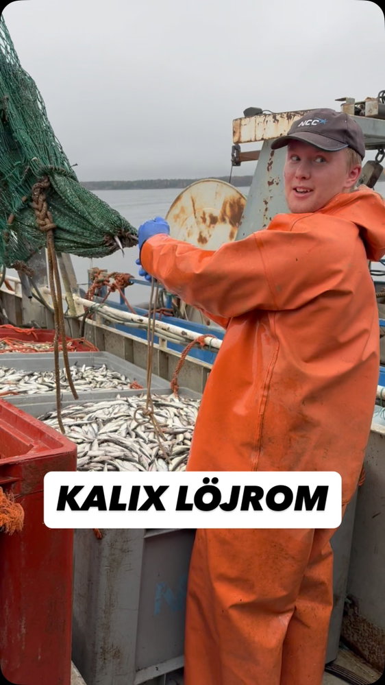 Det är dags för löjrom igen!😍 Håll utkik! Snart kör vi riktigt bra Kalix Löjrom till riktigt bra pris🕺💃🪩🍾