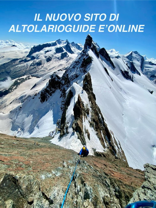 ALTOLARIOGUIDE 🏔️

Ci siamo ✨

Il nuovo sito è online 🎉🥳

Abbiamo cambiato look, sistemato le idee e creato uno spazio per farvi vivere nuove esperienze 😎

Tante attività proposte ed a breve ne arriveranno altre 😊

Vai a dare un’occhiata 👀
👉 Link in bio