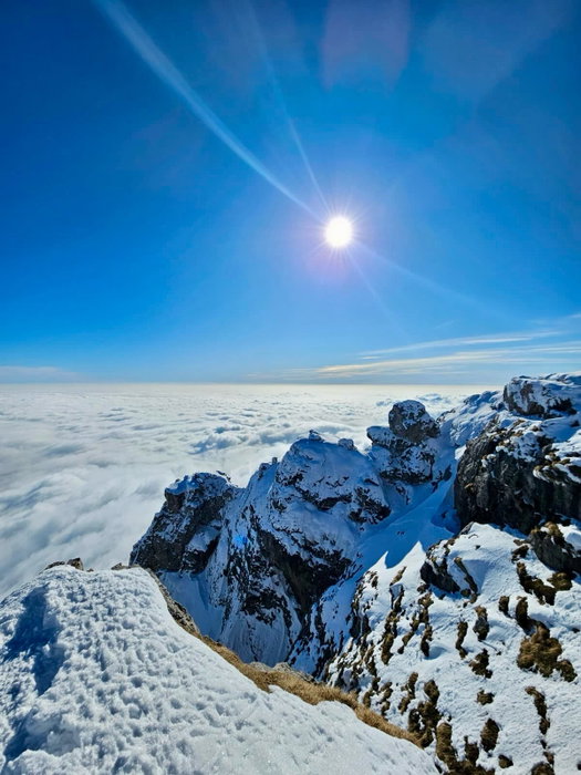 CORSO ALPINISMO INVERNALE ⛏️❄️🏔️

Quattro domeniche passate tra neve e roccia interpretando il terreno e gestendo la cordata 💪

😅 bhè non sempre i nodi venivano al primo tentativo 🤭 ma abbiamo appreso con consapevolezza come muoverci su questo terreno tanto bello quanto esigente 😎

Un bel battesimo per questo super gruppo 💪👍😎

Special thanks 🙏 @simonesemperboni_guidaalpina 🔝

tra pochi giorni al via il corso avanzato 🤩

www.altolarioguide.com