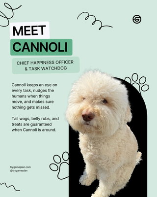 Meet Cannoli 🐾 Gameplan's Chief Happiness Officer and official Task Watchdog. He doesn’t write copy or design landing pages, but he does ma