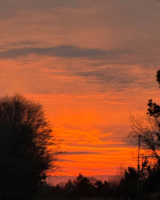 Instagram post from the marina