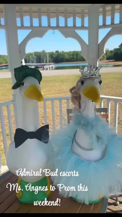 Instagram post from the marina