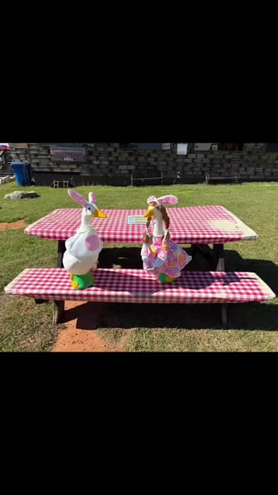 Instagram post from the marina