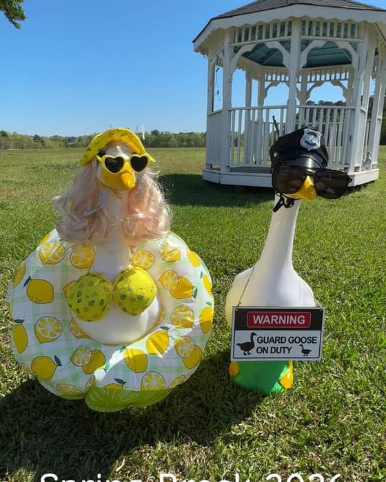 Instagram post from the marina