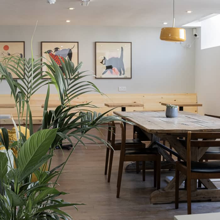 Beyond just providing a desk, we believe in creating a calm and beautiful environment to enhance your workday.
🛋️☕️
…