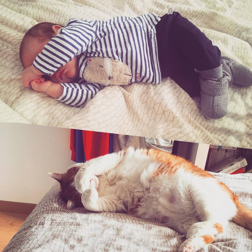 Y’en a un des deux qui a dû voire faire l’autre…