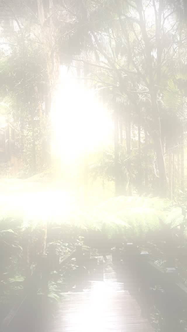 🌞 #sundaymorning #blissful #retreat #wakeup #rainforest