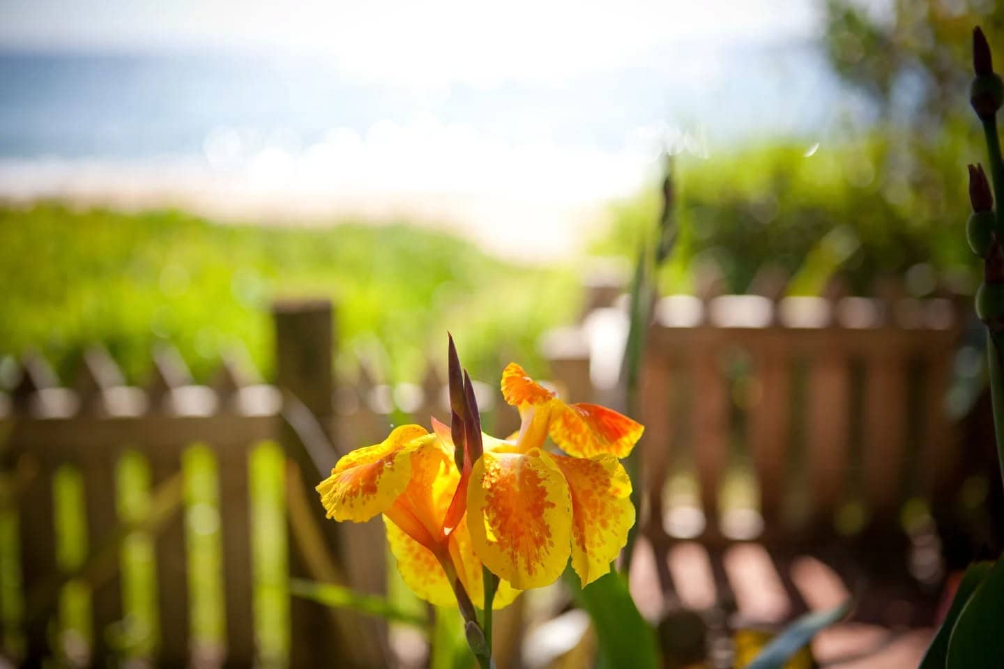 11 May is Mother's Day! 💐 Show your mum how much you appreciate her by treating her to a meal at Kims or a Gift Voucher of your chosen amount #mothersday #special #giftofKims #love #gratitude