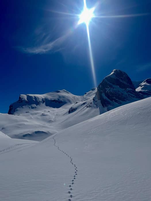 Un luogo che sembra uscito da una fiaba, dove il silenzio della neve racconta più di mille parole ❄️

Abbiamo tracciato le nostre linee in questo angolo incantato della Svizzera tedesca 🇨🇭🧀, tra pendii immacolati e panorami che tolgono il fiato proprio come una cartolina 🤩

Passo dopo passo, il ritmo lento della salita ci ha ricordato perché scegliamo la montagna: per perderci un po’ … e ritrovarci.😜

con lo Swiss team 😎

www.altolarioguide.com